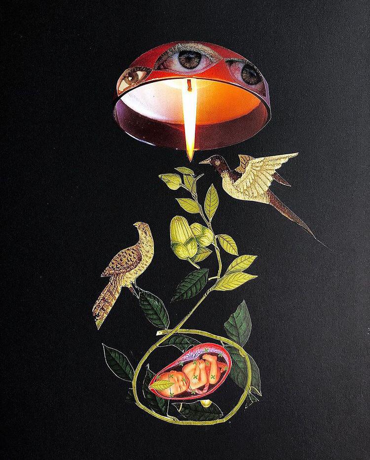 Nacimiento - 55x44 - Analog Collage Art