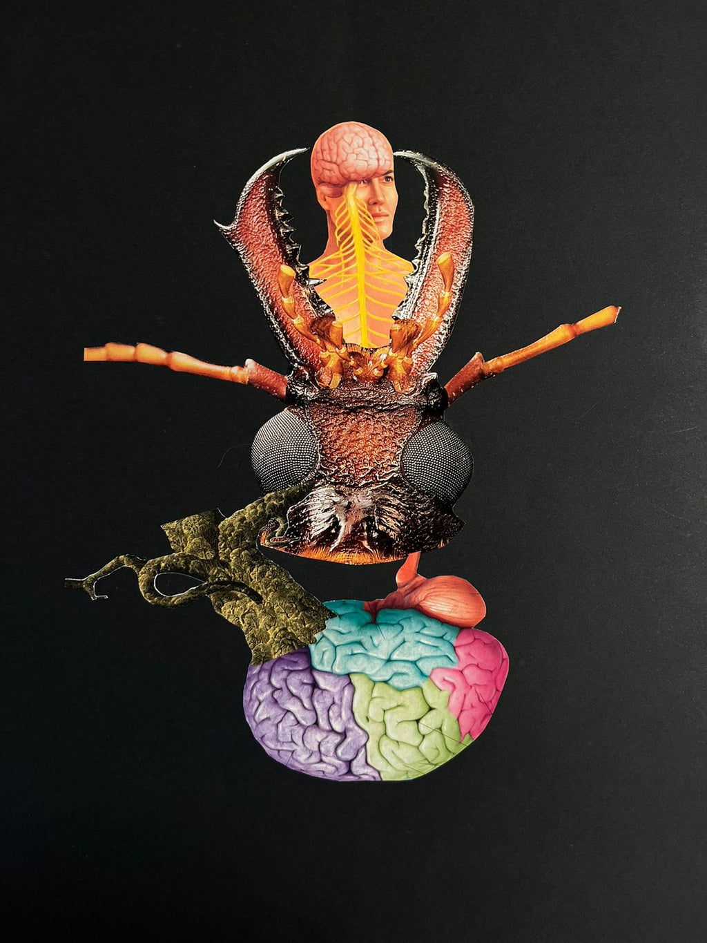 Transfiguration – 50x40cm | Analog Collage Art