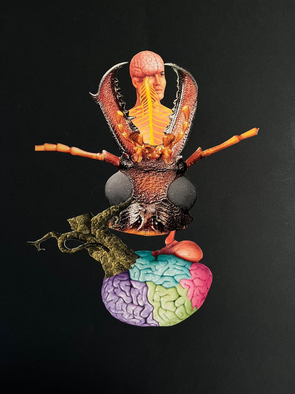 Transfiguration – 50x40cm | Analog Collage Art